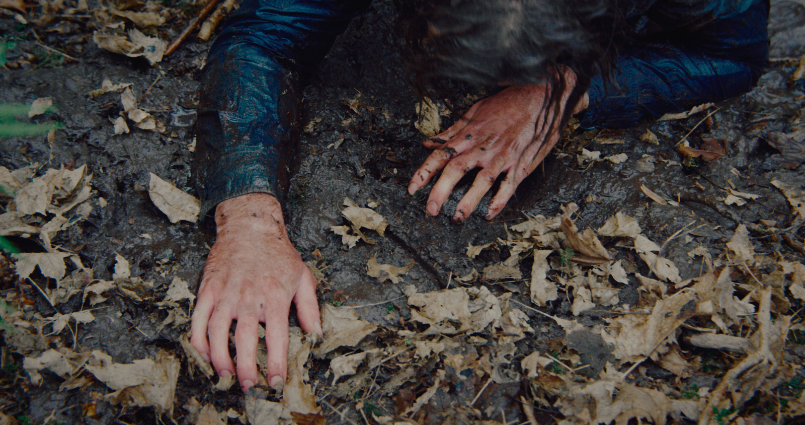 In My Fold, music video for Gypsy Moth Control. Colour grade by Anibal Castaño, Grade by Humans (still 1)