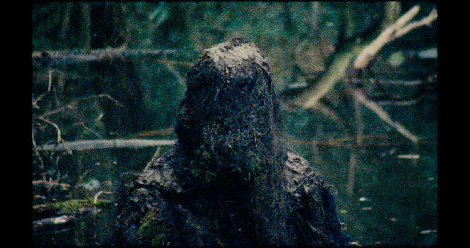 In My Fold, music video for Gypsy Moth Control. Colour grade by Anibal Castaño, Grade by Humans (still 5)