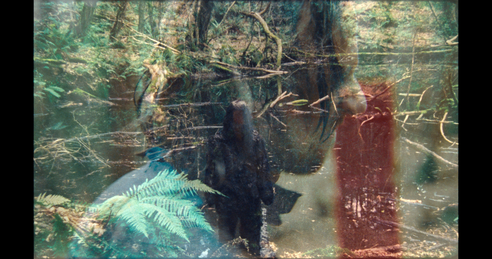 In My Fold, music video for Gypsy Moth Control. Colour grade by Anibal Castaño, Grade by Humans (still 7)