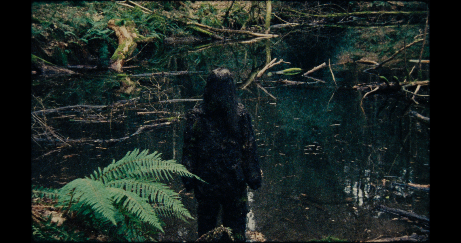 In My Fold, music video for Gypsy Moth Control. Colour grade by Anibal Castaño, Grade by Humans (still 13)