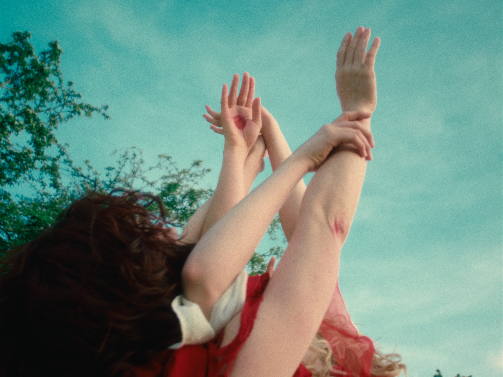NÔM, short film directed by voidform. Colour grade by Anibal Castaño, Grade by Humans (still 9)