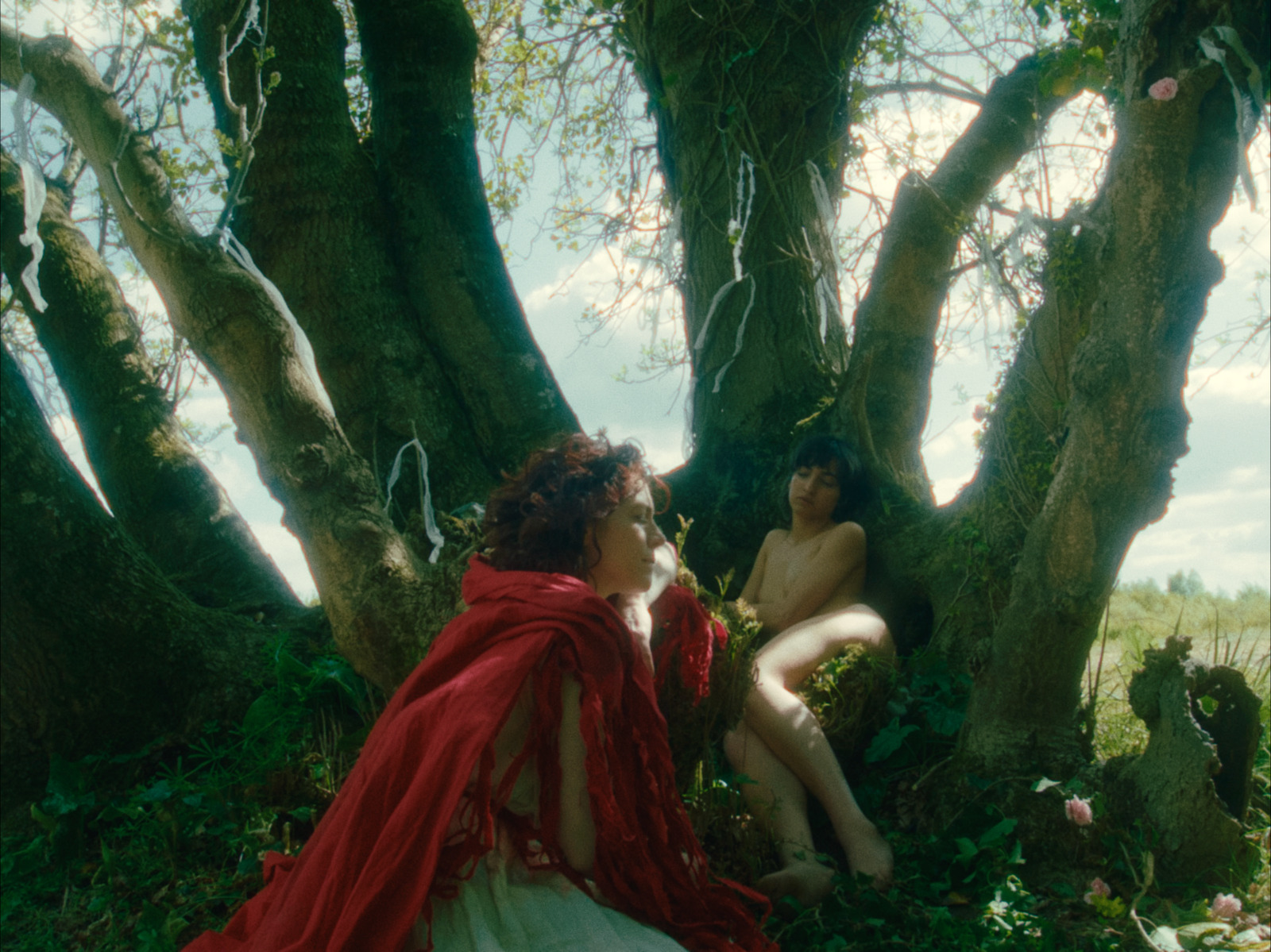 NÔM, short film directed by voidform. Colour grade by Anibal Castaño, Grade by Humans (still 16)