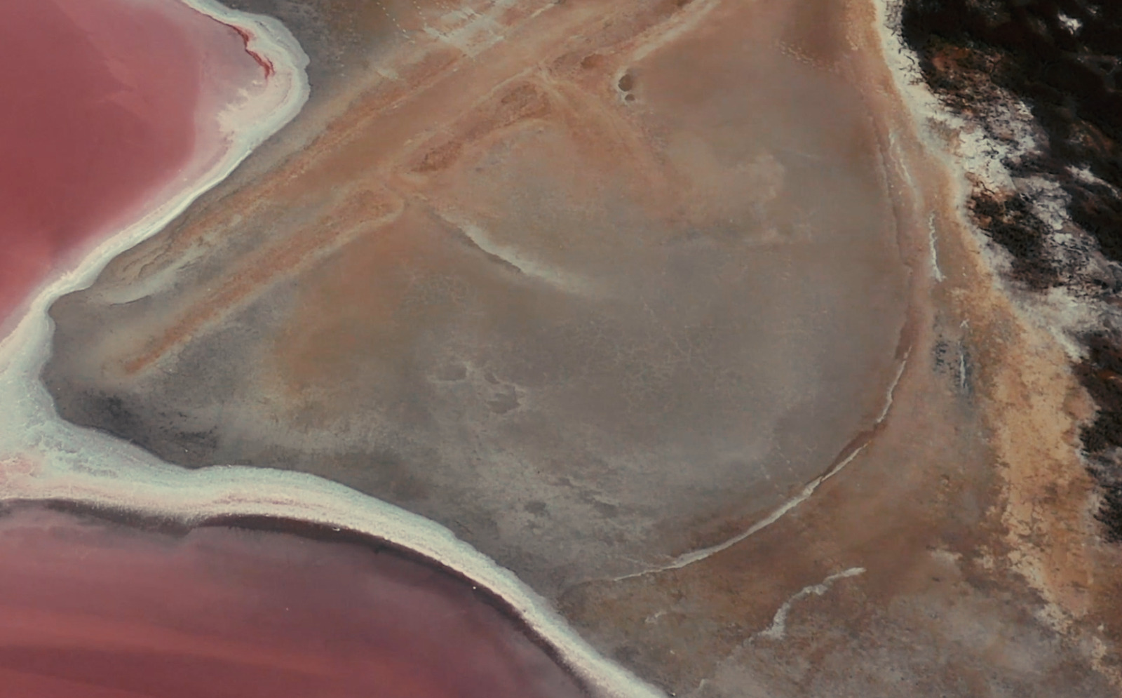 Reframe: The Residency, exhibition for Southbank Centre. Colour grade by Anibal Castaño, Grade by Humans (still 12)
