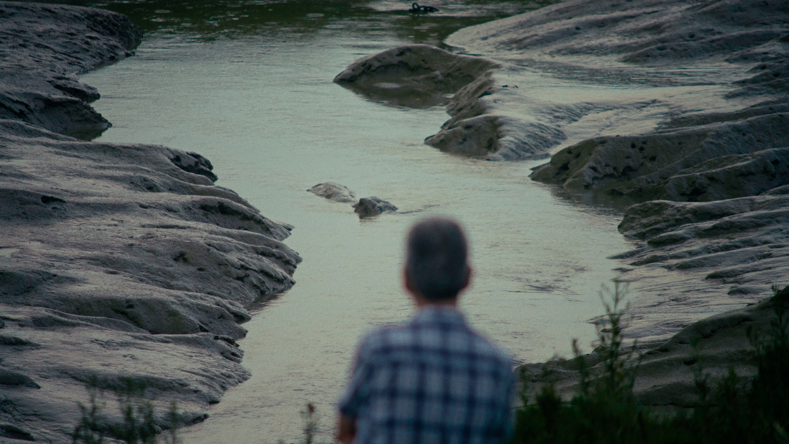 The Eel's Tale, artist film directed by Sam Williams for Film London / FLAMIN. Colour grade by Anibal Castaño, Grade by Humans (still 2)