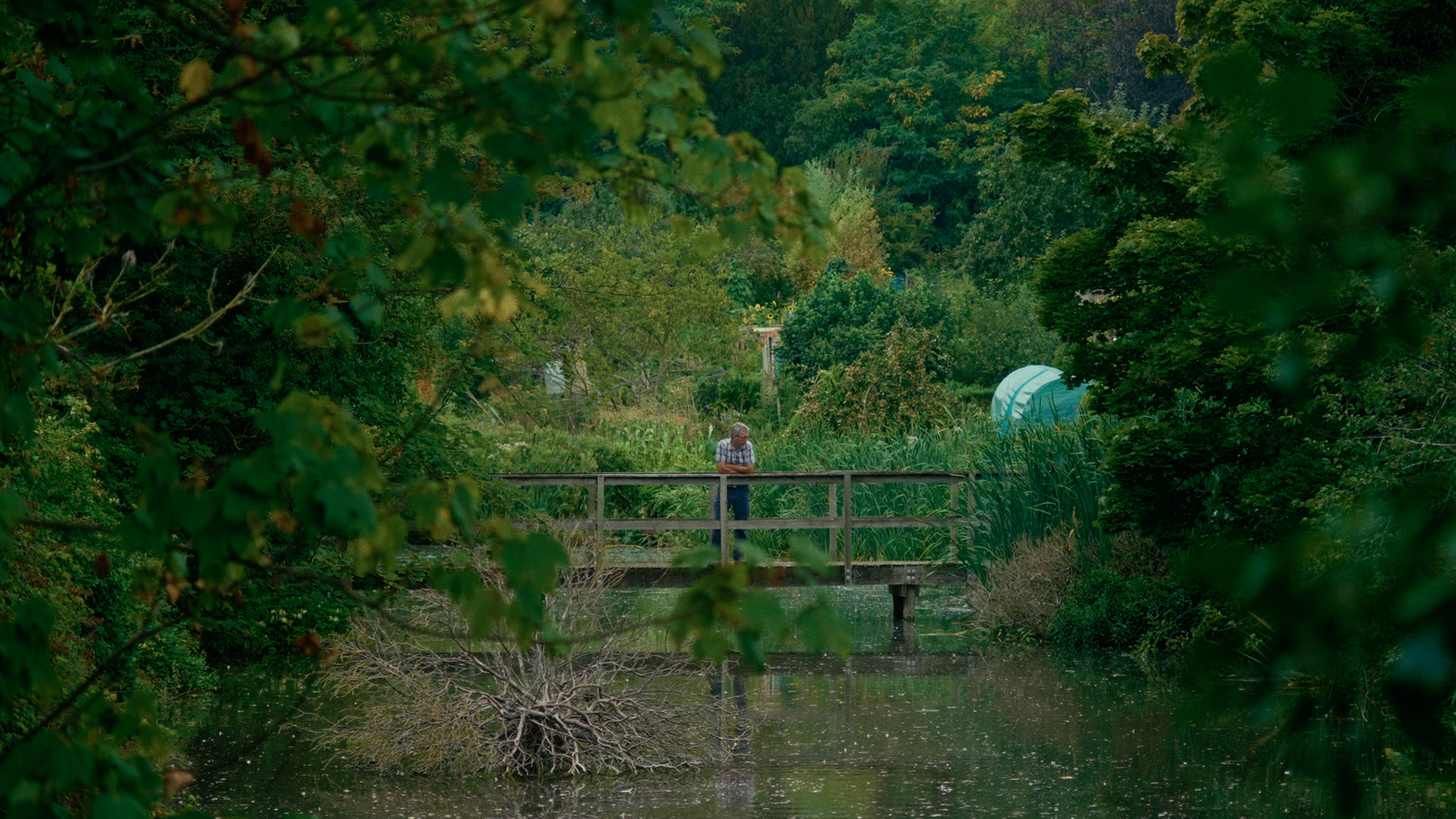 The Eel's Tale, artist film directed by Sam Williams for Film London / FLAMIN. Colour grade by Anibal Castaño, Grade by Humans (still 3)