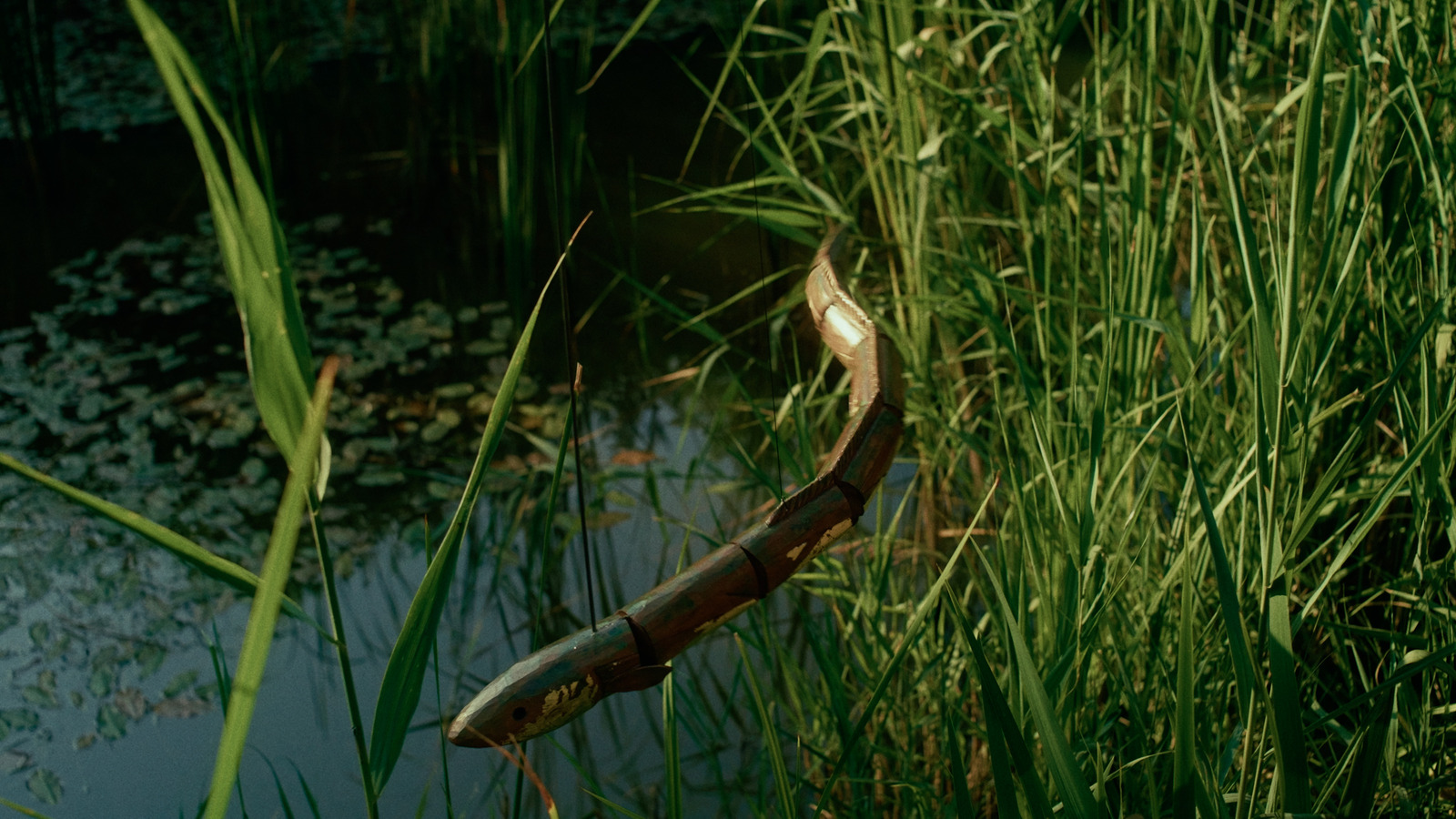 The Eel's Tale, artist film directed by Sam Williams for Film London / FLAMIN. Colour grade by Anibal Castaño, Grade by Humans (still 6)