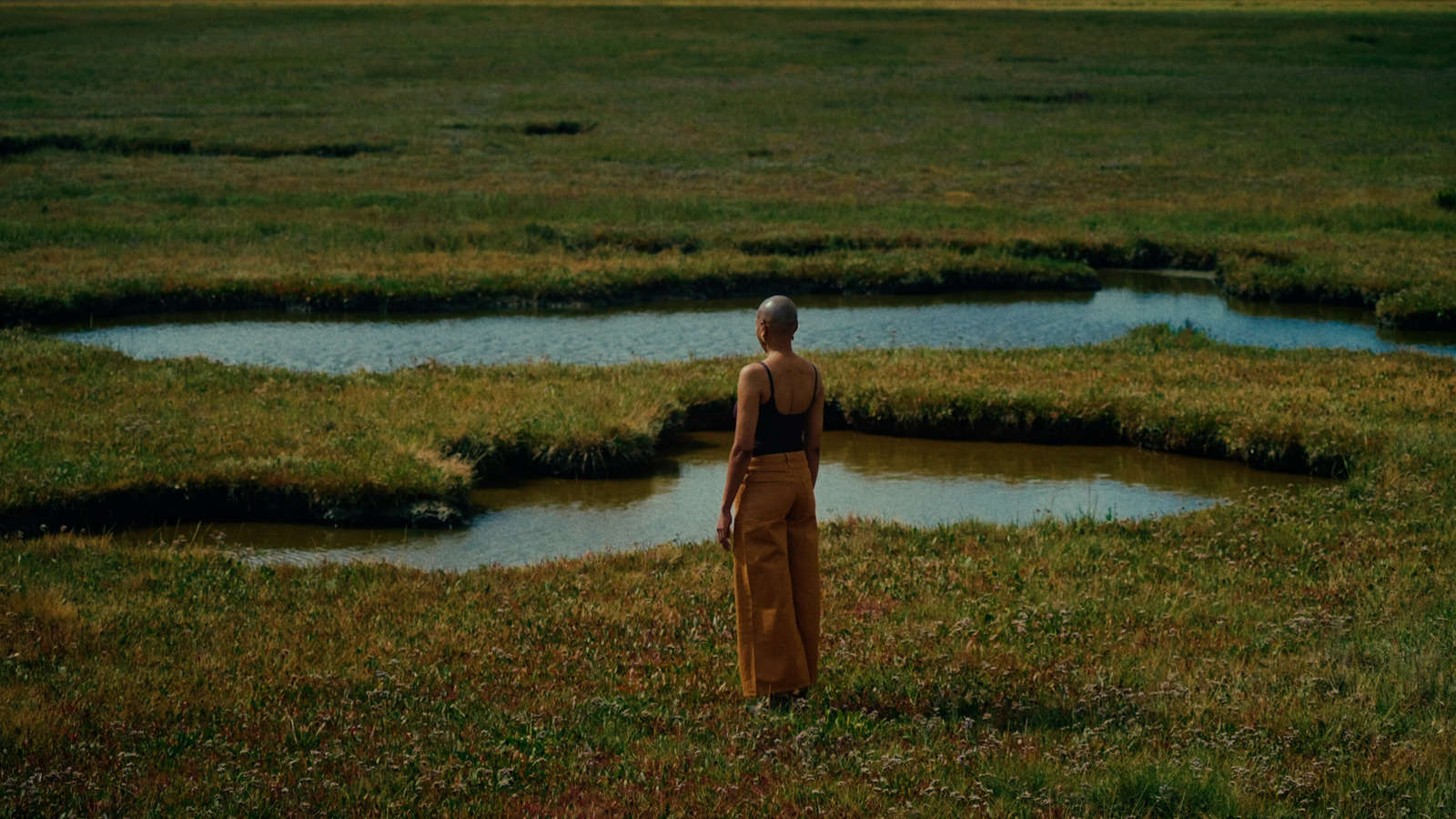 The Eel's Tale, artist film directed by Sam Williams for Film London / FLAMIN. Colour grade by Anibal Castaño, Grade by Humans (still 9)