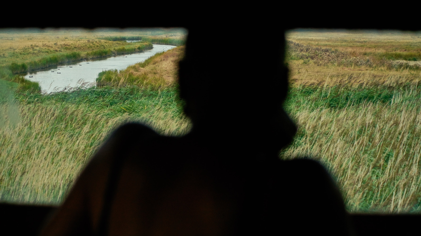 The Eel's Tale, artist film directed by Sam Williams for Film London / FLAMIN. Colour grade by Anibal Castaño, Grade by Humans (still 10)