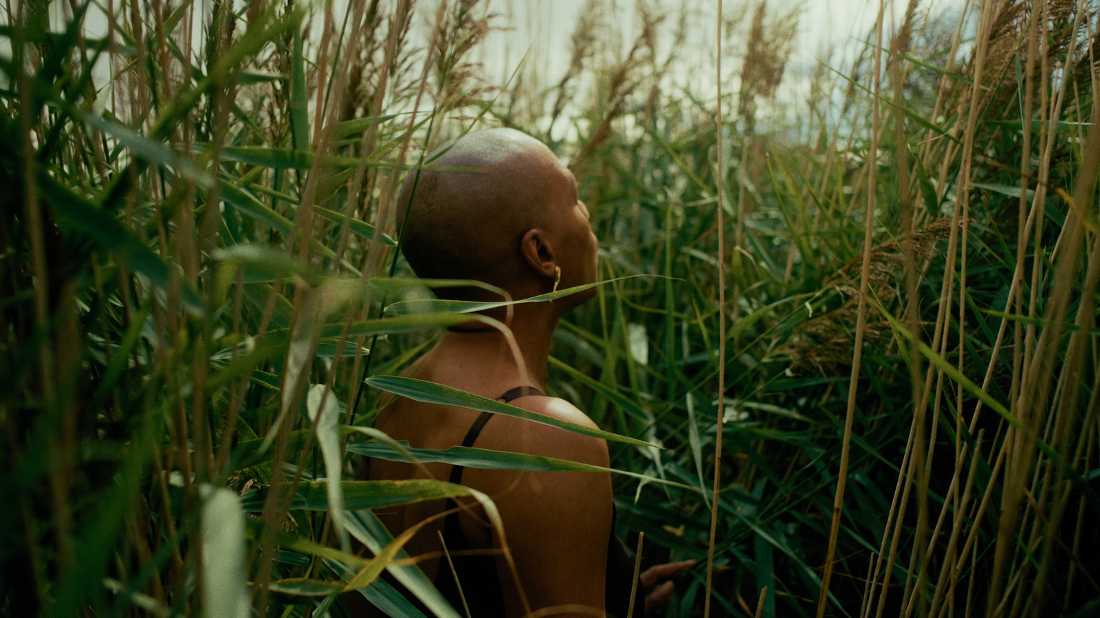 The Eel's Tale, artist film directed by Sam Williams for Film London / FLAMIN. Colour grade by Anibal Castaño, Grade by Humans (still 12)